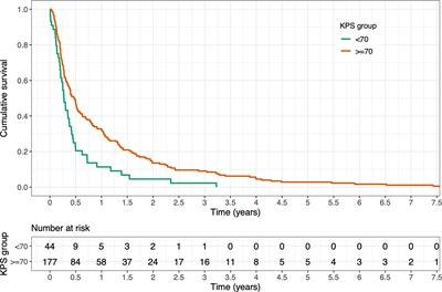 Comparative Analyses of Two Established Scores to Assess the Stability of Spinal Bone Metastases Before and After Palliative Radiotherapy